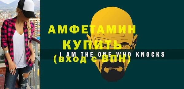 индика Вязьма