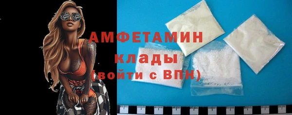 индика Вязьма