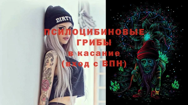 ешки Володарск
