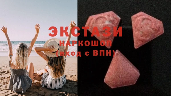 индика Вязьма